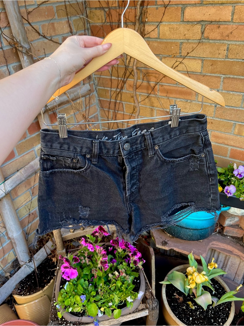 We The Free- Mid Rise Distressed Black Shorts